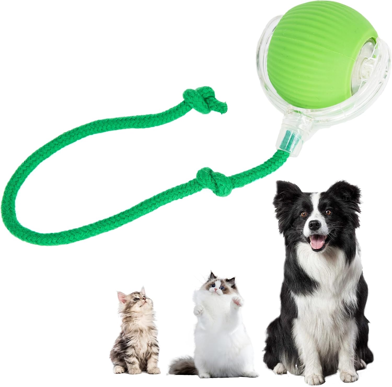 Interactive Cat Toys Ball for Indoor Cats, Interactive Rolling Small Dog Cat Toys Automatic Self Moving, 360°,Electric Balls，Fast Rolling，Smart Automatic Rolling Pet Ball (Green)